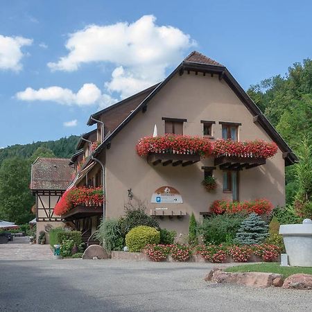Domaine Le Moulin Hotel Ottrott Buitenkant foto