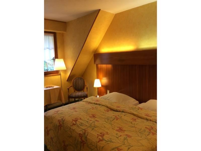 Domaine Le Moulin Hotel Ottrott Buitenkant foto